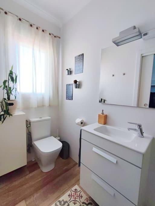 Bright And Quiet In Appartement
